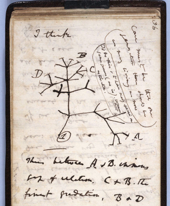 Darwin+notebooks+missing+for+20+years+returned+to+Cambridge