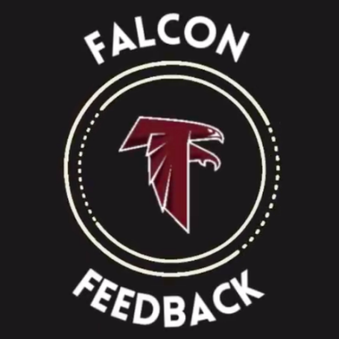 Falcon Feedback